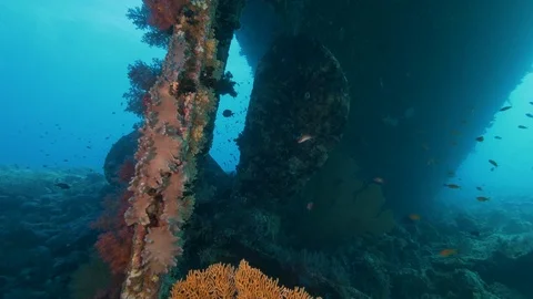 Propeller and helm (drawbar) of the Kingston, Red sea, Egypt Stock Footage 105512551