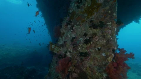 Propeller and helm (drawbar) of the shipwreck Kingston, Red Sea Stock-Footage 105522137