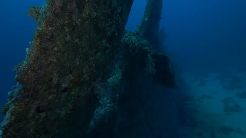 Propeller and helm (drawbar)of the shipwreck Dunraven, Red Sea, Egypt Stock Footage 105571041