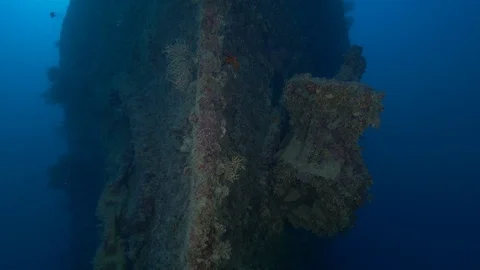 Propeller and helm (drawbar) of the shipwreck Rosalie M, Red Sea, Egypt Stock Footage 105614965
