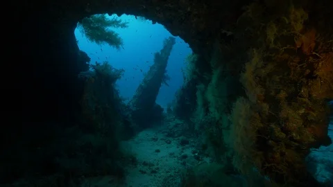 Propeller blade of the shipwreck Ulysses, Red Sea, Egypt Stock Footage 105621716