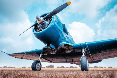 Propeller of an blue warbird Stock Photos