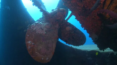 propeller of Hilma Hooker sunken shipwre... | Stock Video | Pond5