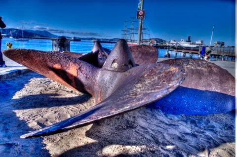 Propeller Foto stock