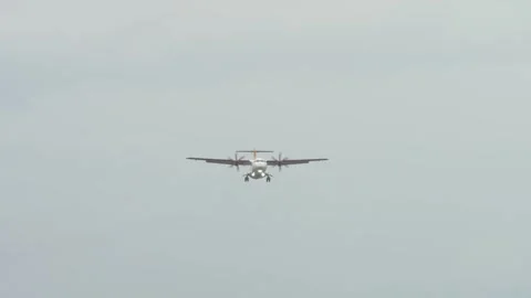 Propeller plane flying in cloudy sky with landing gear down and birds nearby Stock Footage 311446550
