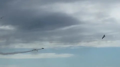 Propeller Plane Performing Aerobatics with Smoke Trails at Gold Coast Airshow Vidéo 345024179