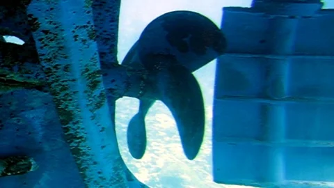 The propeller of the ship rotates under the water Stock Footage 87781168