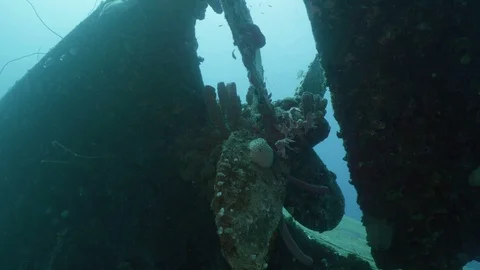 Propeller of sunken ship, Hilma Hooker, Bonaire Stock Footage 104101210