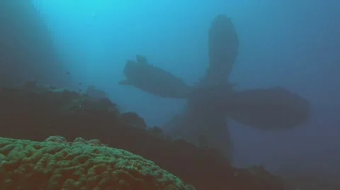 Propeller of sunken ship, under water shot 動画素材 11114757