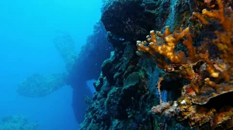Propeller of sunken ship, under water shot 스톡 동영상 11114768