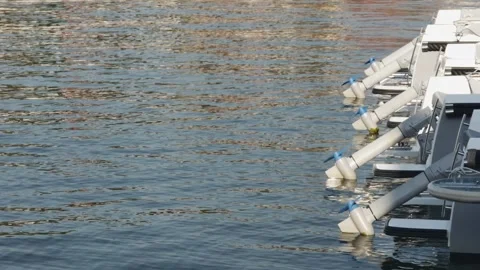 Propellers for a boat motor swing on the waves in one row in the sea Vídeos de archivo 258551669