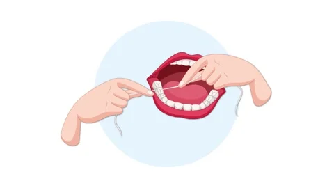 Proper Dental Flossing Technique on Human Teeth Model Video stock 316588057