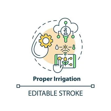 Proper irrigation concept icon Stockillustratie