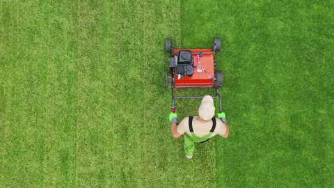 Property Backyard And Lawn Care. Stock Footage