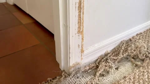 Property damage Stock Footage 270320805