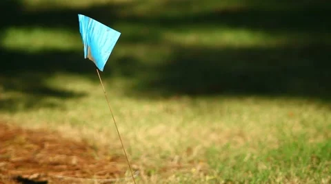 Property Flag Blowing in Wind Stock Footage 1094278