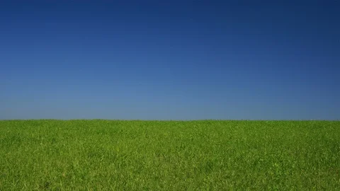 Property Vidéo 85693417