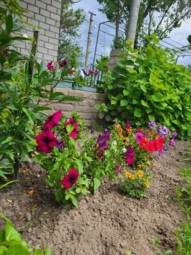 Property improvement of local areas using container gardening and flowerbeds Stock Photos