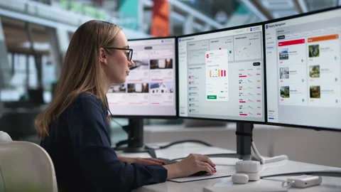 Property Manager Uses Software Dashboard To Track Rental Income Stock Footage 338169691