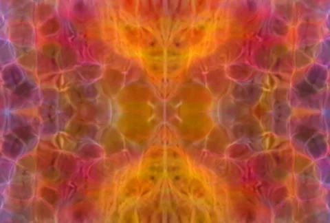 Prophecy16 Stock Footage 112218