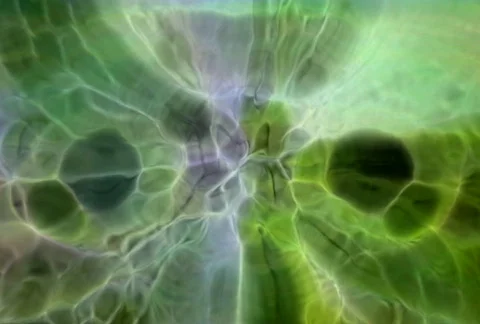 Prophecy19 Stock Footage 112250