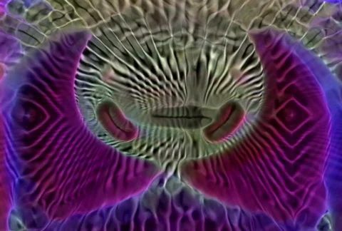 Prophecy20 Stock Footage 112208