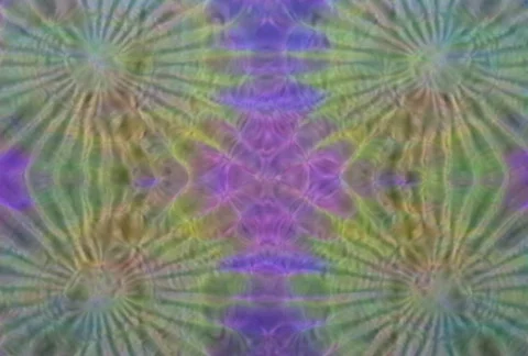 Prophecy23 Stock Footage 112207