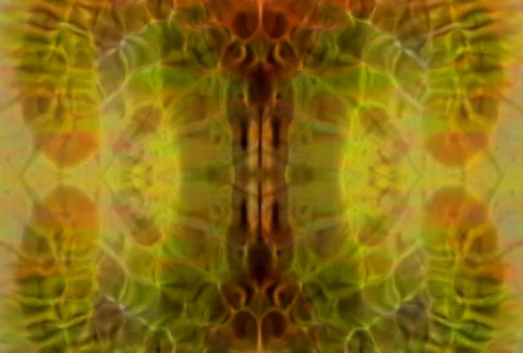 Prophecy3 Stock Footage 112213