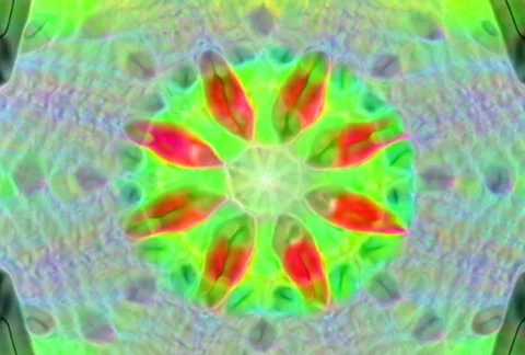 Prophecy9 스톡 동영상 112256