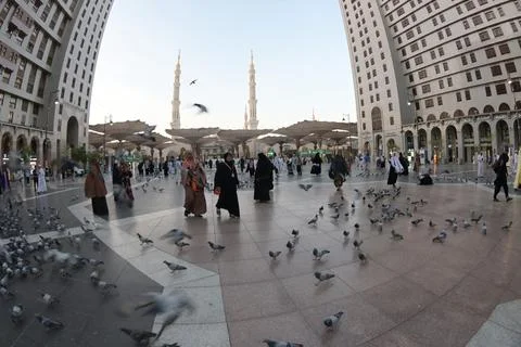 Prophet's Mosque Stock Photos