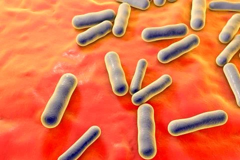 Propionibacterium bacteria, illustration 스톡 일러스트