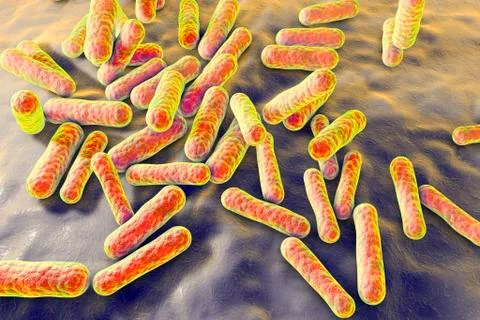Propionibacterium bacteria, illustration 스톡 일러스트