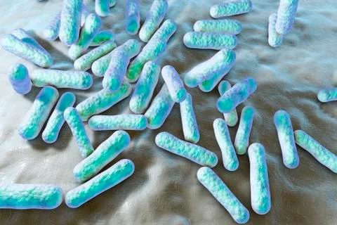 Propionibacterium bacteria, illustration 스톡 일러스트