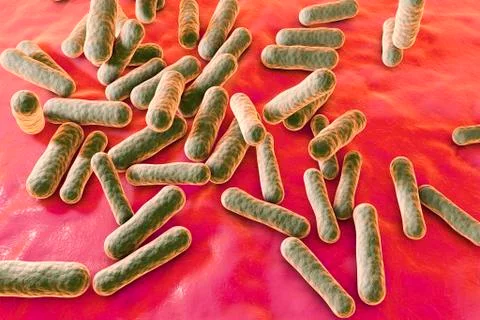 Propionibacterium bacteria, illustration 스톡 일러스트