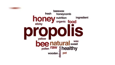 Propolis animated word cloud, text design animation. Stock Footage 79784197