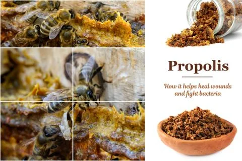 Propolis in the middle of a hive with bees. Bee glue. Bee products. Apitherapy Stock Photos