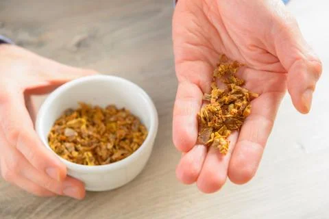 Propolis Stock Photos