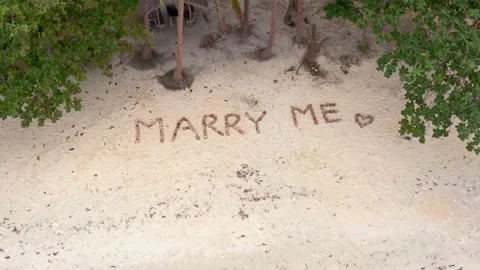 Proposal marry me Stock Footage 229520261