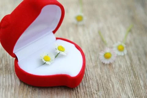 Proposal Stock Photos