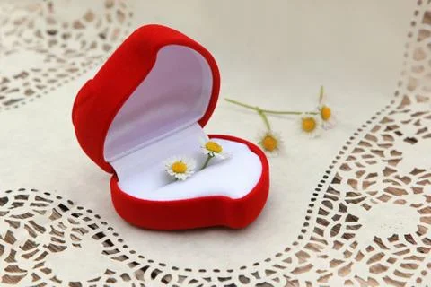 Proposal Stock Photos