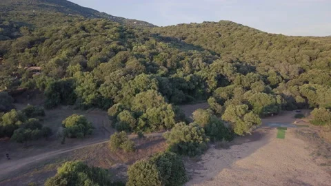 Propriano's forest 動画素材 166570148