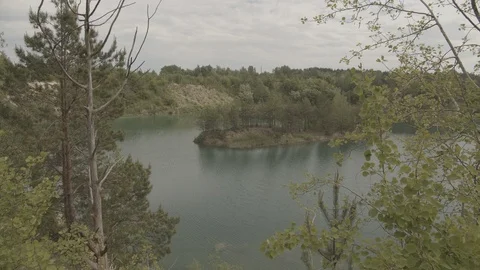 ProRes 4:2:2 log, slow motion footage. Beautiful lake in the wood. Stock Footage 109540451