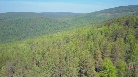 ProRes. Logging from aerial view, Siberian forest. Stock Footage 83781441