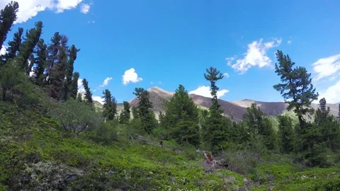ProRes. Time lapse. Clouds over the mountains. Landscape. Siberia. Stock Footage 82648745