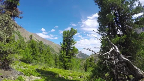 ProRes. Time lapse. Clouds over the mountains. Landscape. Siberia. Stock Footage 82648870