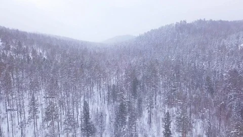 ProRes. Winter forest and rocks from aerial view. Landscape. Stock Footage 84191964
