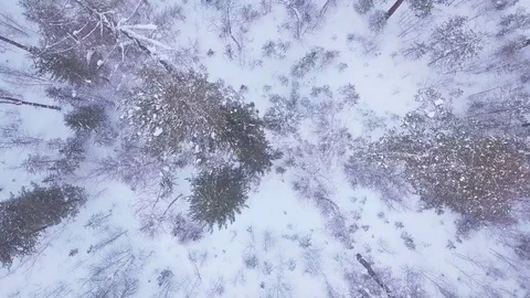 ProRes. Winter forest and rocks from aerial view. Landscape. Stock Footage 84192129