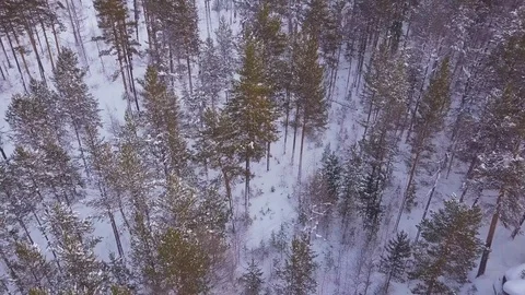 ProRes. Winter forest and rocks from aerial view. Landscape. Stock Footage 84193983