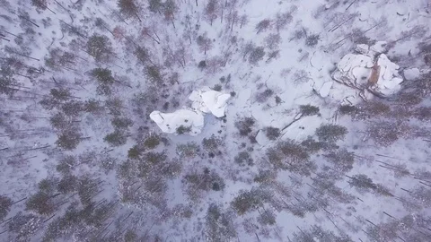 ProRes. Winter forest and rocks from aerial view. Landscape. Stock Footage 84194296