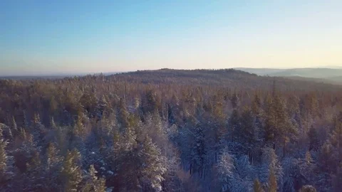 ProRes. Winter forest and rocks from aerial view. Landscape. Stock Footage 84362263